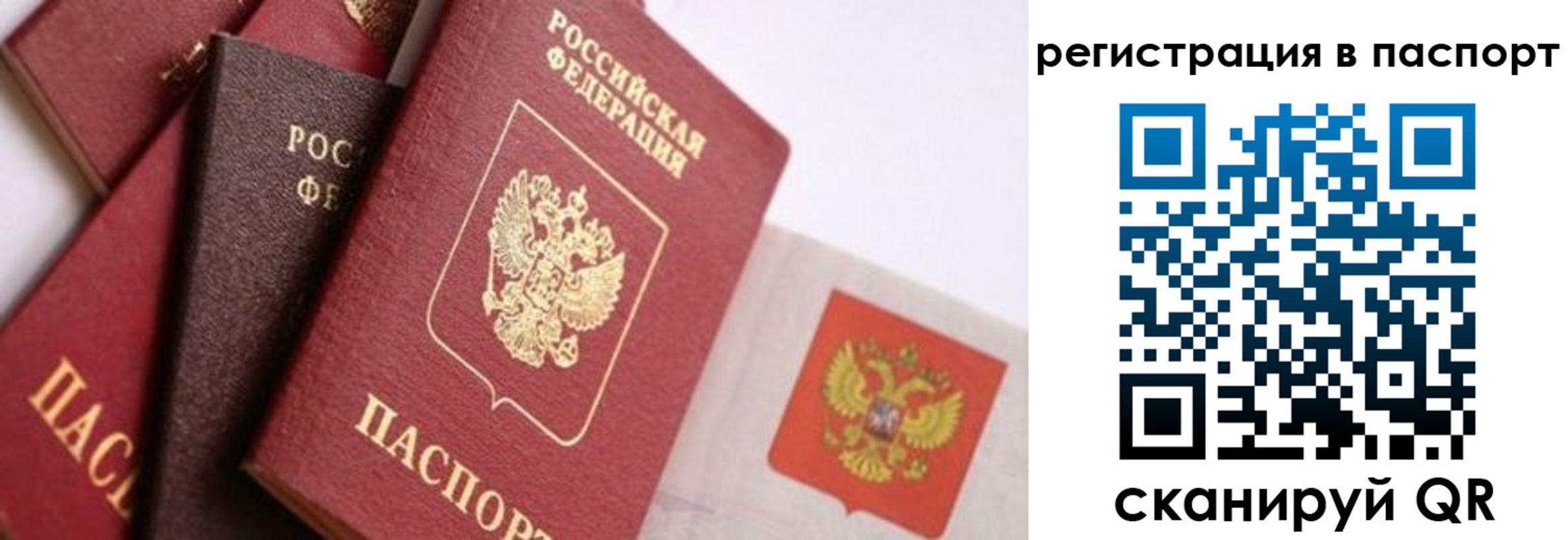 прописка в квартире в Камышлове